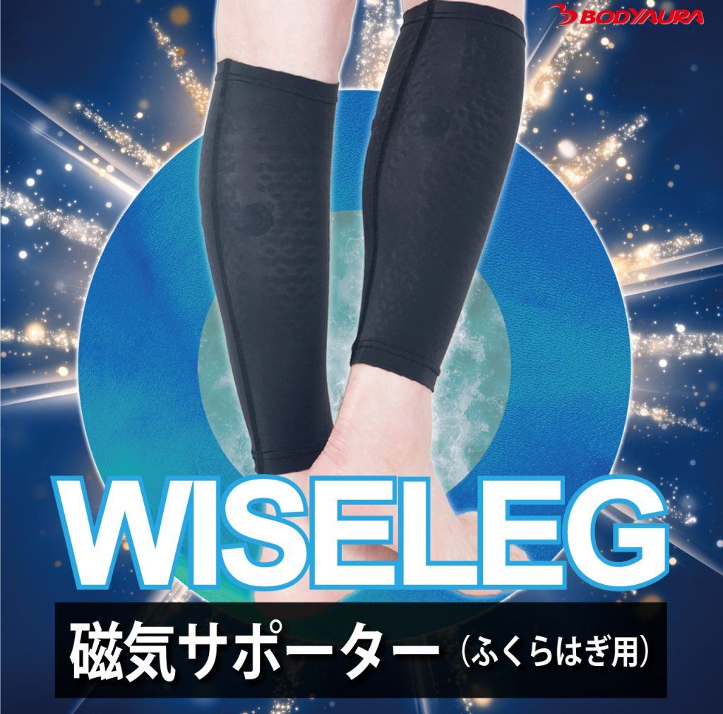 磁気サポーター WISELEG